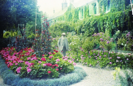 THE CONSTANT GARDENER