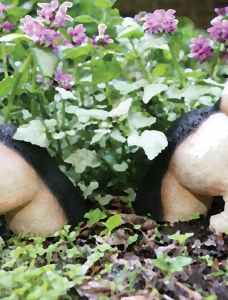 OF PETS AND PETUNIAS