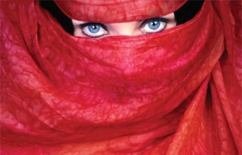 1001 ARABIAN (HORSE) NIGHTS