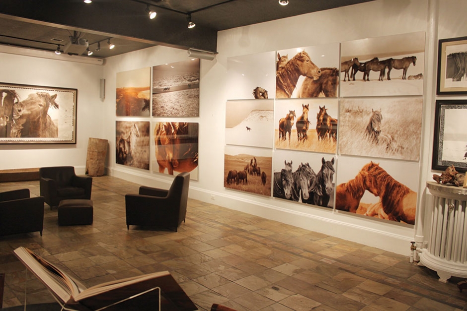 A view from the recently opened The Wild Horses of Sable Island Gallery
Photographer Roberto Dutesco