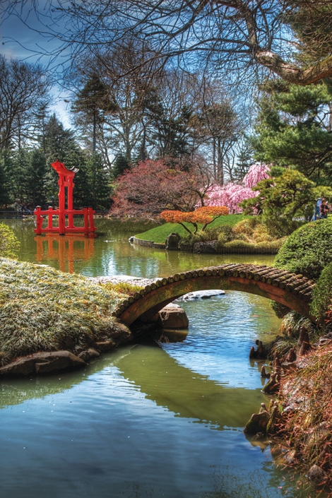 Brooklyn Botanical Gardens