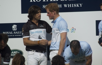Horsing around with Harry & co.