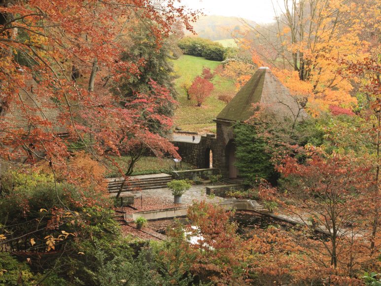 Reflecting Pool in autumn. Photograph by Michael Gunselman.