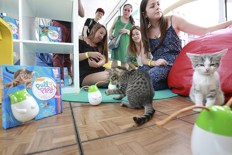 Guests at the “Friskies Playhouse” get the opportunity to adopt and interact with adorable shelter kitties as they play with the new Friskies’ Pull ’n Play product. Photograph by Amy Sussman/AP Images for Friskies.