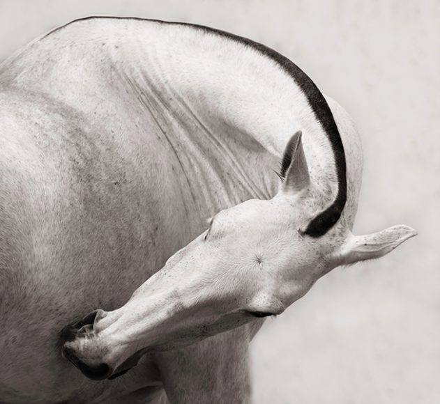 Laurence Anne Guillem's, “Prãna” (2014-15), black-and-white photograph. Courtesy the artist.