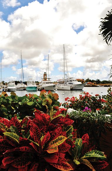 Yachts lined up in Jamaica’s Montego Bay.