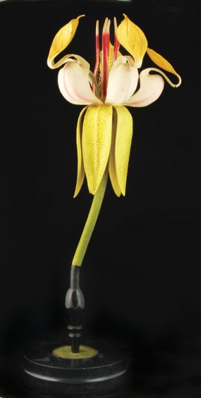 Theobroma cacao Model (1875-98), manufactured by R. Brendel & Co. (Berlin, Germany); wood, papier-mâché, cardboard, plaster, reed pith, metal, string, feathers, gelatin, glass and bone glue beads, cloth, metallic thread, horsehair, hemp, or silk threads, paint, and shellac varnish. Smithsonian Institution’s National Museum of American History. Image © Smithsonian Institution. 