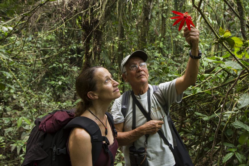 A local guide in the Amazon Yasuni Reserve in Ecuador shows Céline a hidden wonder of the dense jungle.
Photograph by Çapkin van Alphen, CauseCentric Productions.
