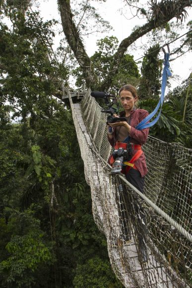 From a vantage point high in the canopy, Céline films the diversity of the Amazon’s Yasuni Reserve in Ecuador. Photograph by Çapkin van Alphen, CauseCentric Productions. 