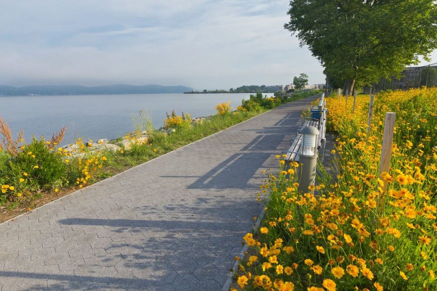 Hudson 8