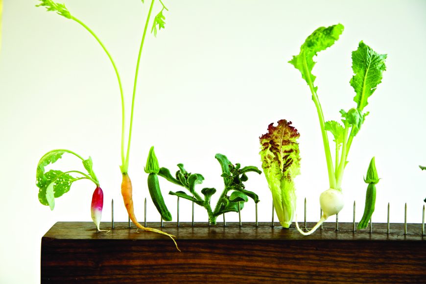 Blue Hill at Stone Barns “Vegetables on the Fence.” Photograph by Andre Baronowski.