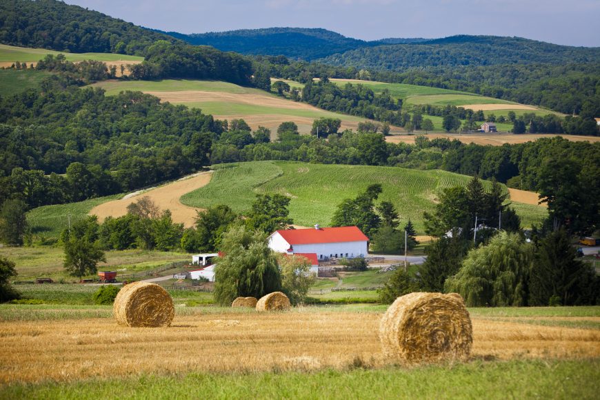 The serene setting of the Coach Farm is what lured its famous founders from the concrete high rises of Manhattan. Photograph courtesy of Best Cheese Corp.