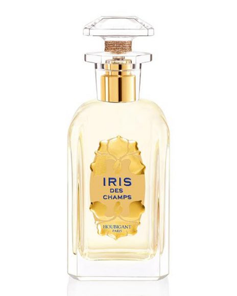 Iris des Champs,
$190-$600.