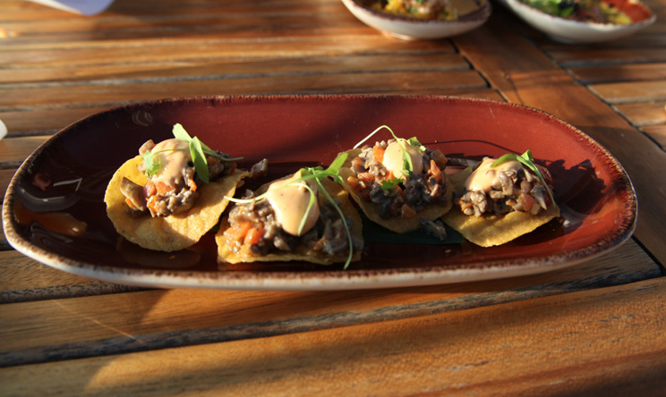 A plate of tostadas topped with mushrooms, chipotle aioli and micro greens.
