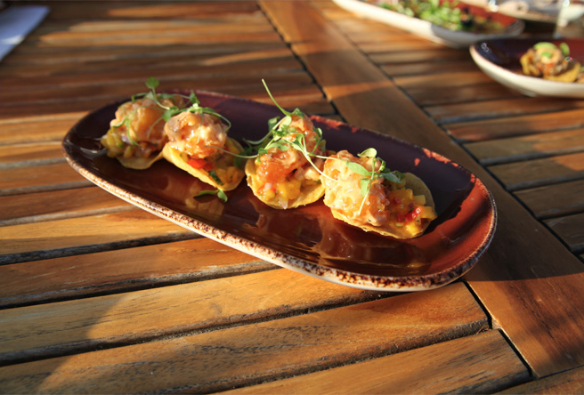 The tostada appetizer topped with tempura fried shrimp, creamy aji mirasol and mango salsa.