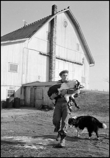 James Dean with dogs on Winslow farm in Fairmount, Ind. ©2015 Dennis Stock/Magnum Photos.