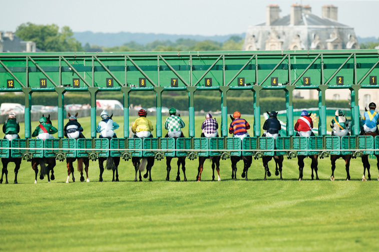 Racehorses in the starting gate. Photograph courtesy teNeues Publishing.