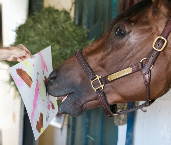 Kentucky Derby runner-up Firing Line admires his Moneigh. Photographs by Ally Irons Morris, courtesy ReRun Thoroughbred Adoption and After the Finish Line.