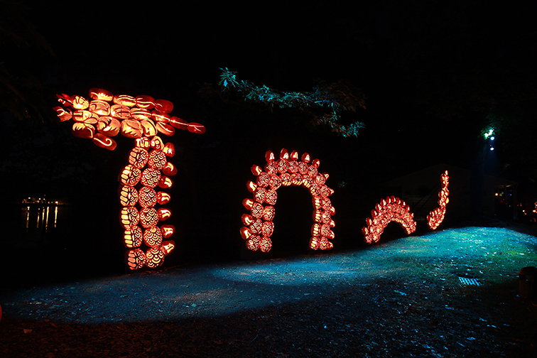 An enormous sea serpent at “The Great Jack O’Lantern Blaze” in Croton-on-Hudson., Photograph by Jennifer Mitchell