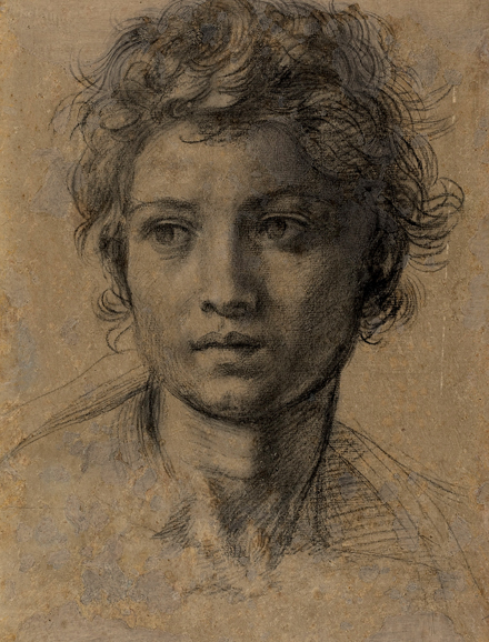 At The Frick – Andrea del Sarto’s “Study for the Head of Saint John the Baptist” (circa 1523, black chalk), National Gallery of Art, Washington, D.C., Woodner Collection.