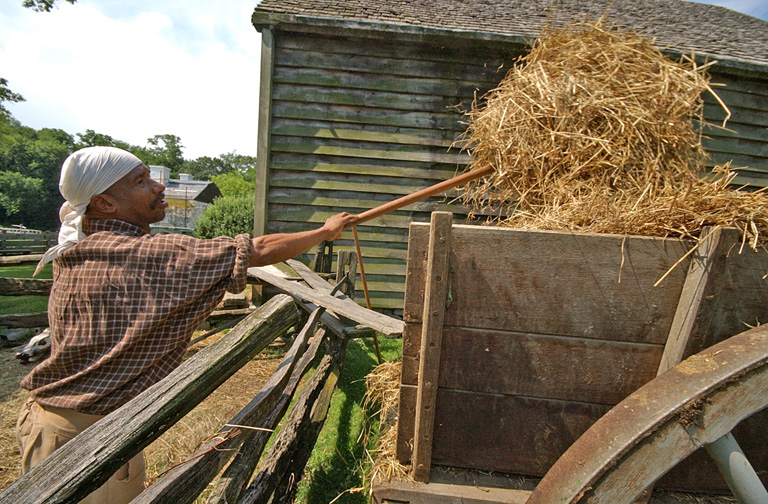 An interpreter pitches hay into a cart outside the New World Dutch Barn at Philipsburg Manor in Sleepy Hollow. Photograph by Bryan Haeffele. 