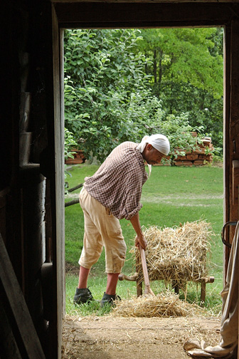An interpreter rakes hay at Philipsburg Manor in Sleepy Hollow. Photograph by Bryan Haeffele.