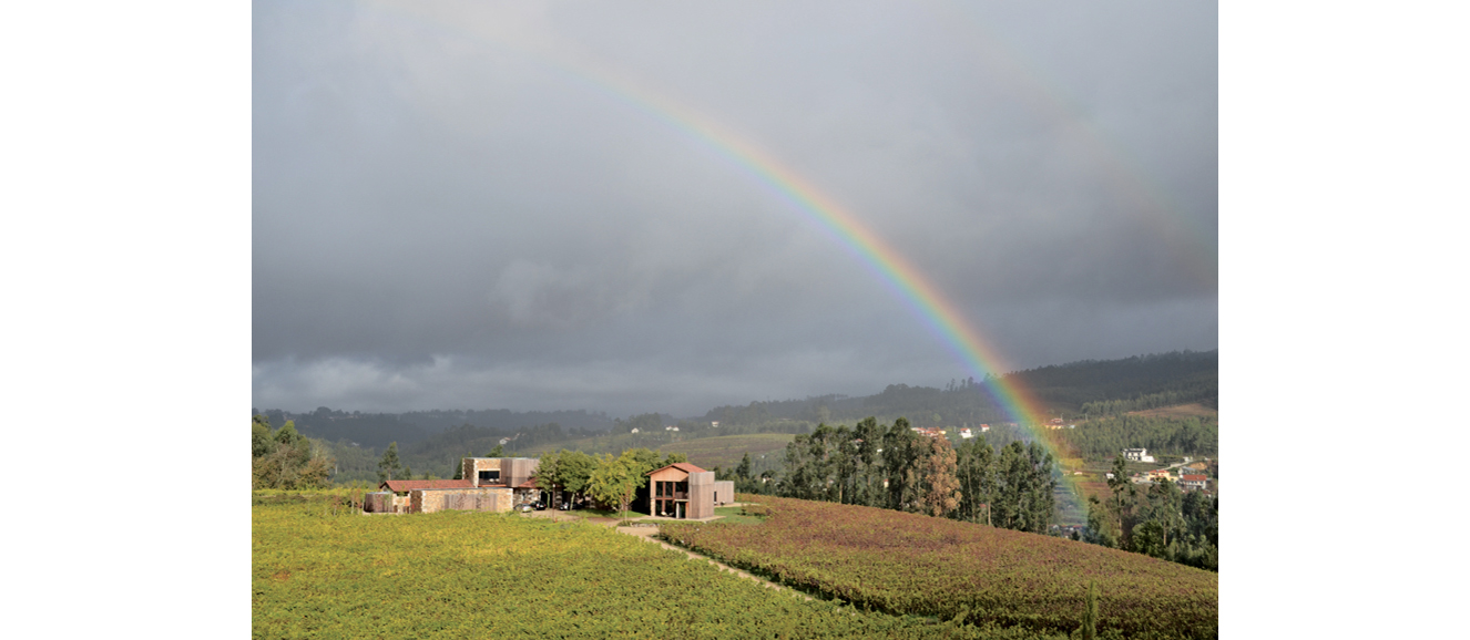 Quinta da Lixa, a winery in Portugal’s Vinho Verde country. Photograph by Doug Paulding.