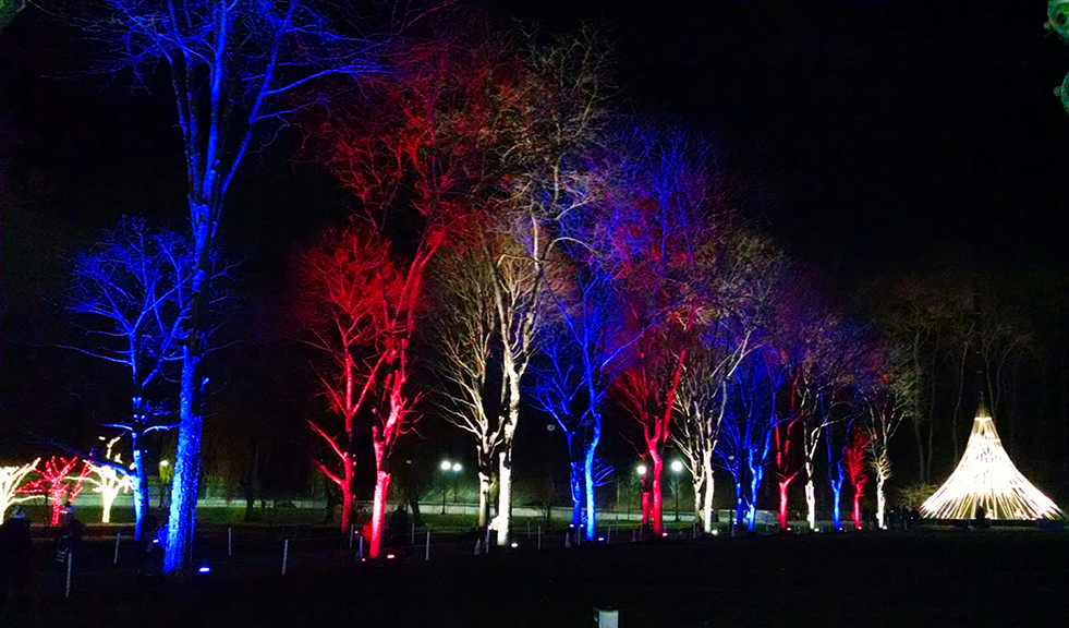 It’s a “Winter Wonderland” in Westchester (despite the temps). Photographs by Robin Costello