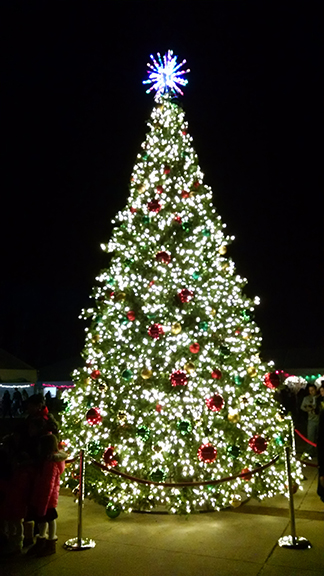 It’s a “Winter Wonderland” in Westchester (despite the temps). Photographs by Robin Costello