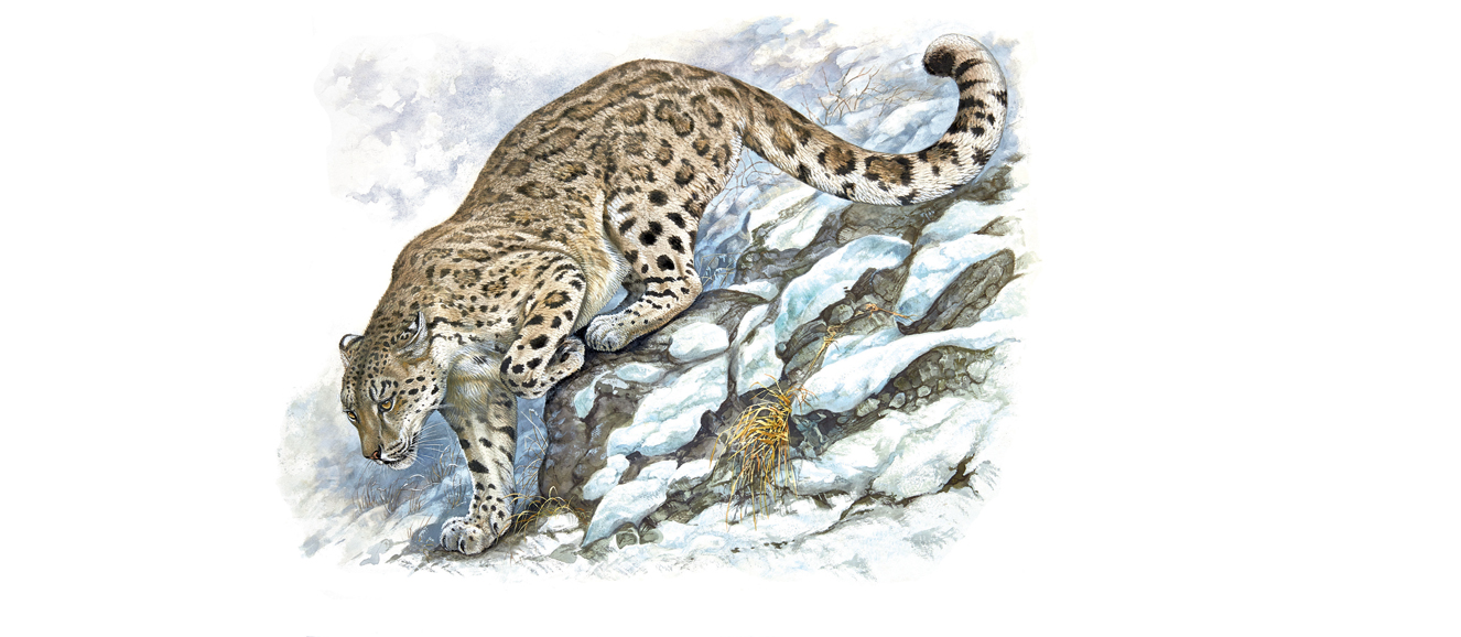 Robert Dallet’s “Amur Leopard,” watercolor and gouache. Photograph by Studio des Fleurs. © Hermès, 2015.