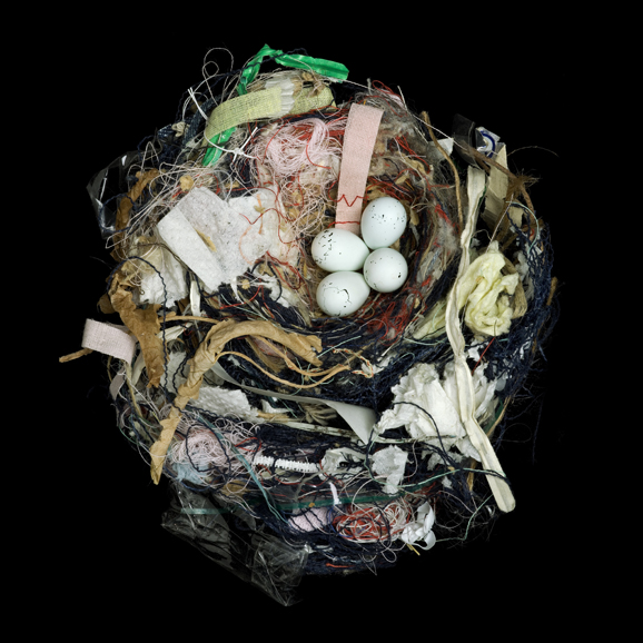 Sharon Beals' "House Finch Carpodacus mexicanus frontalis" (photographed 2008, collected 1965), sewing scraps, plastic, twigs, paper, cellophane, 23 x 23 inches. Courtesy of the artist and Western Foundation of Vertebrate Zoology.