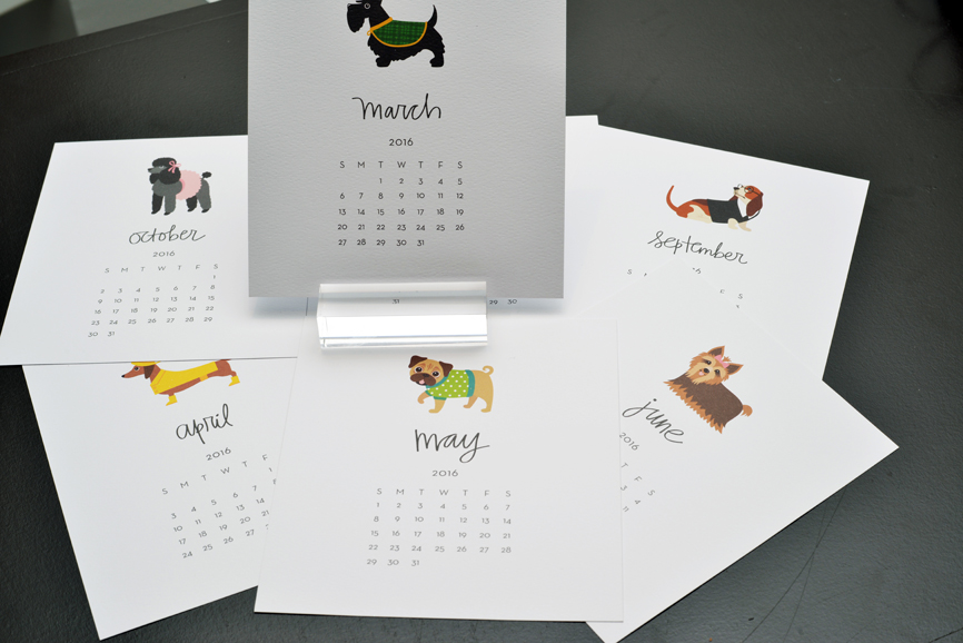 An adorable dog calendar offered at Zeste. Photograph by Bob Rozycki.