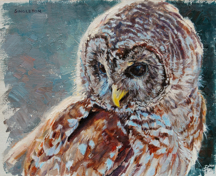 Kelly Singleton’s “Backlit – Barred Owl” (2011), oil on canvas.