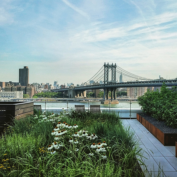 Blondie’s Treehouse recently completed this project in DUMBO, Brooklyn, building the roof deck including decking, furniture, amenities and all plantings. The design was by landscape architect James Corner Field Operations, while the project manager was Blondie’s design principal Tina Dituri. Photograph courtesy Blondie’s Treehouse.