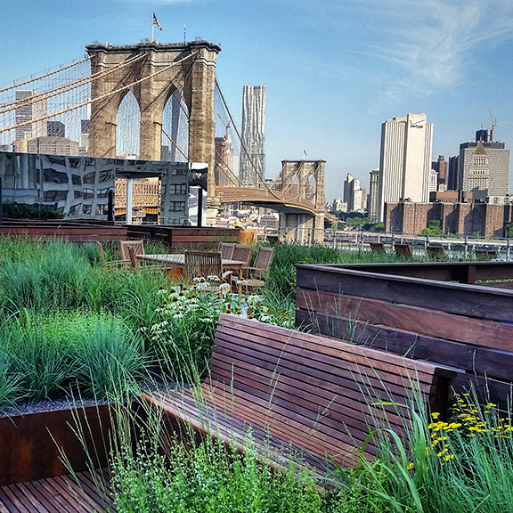 Blondie’s Treehouse recently completed this project in DUMBO, Brooklyn, building the roof deck including decking, furniture, amenities and all plantings. The design was by landscape architect James Corner Field Operations, while the project manager was Blondie’s design principal Tina Dituri. Photograph courtesy Blondie’s Treehouse.