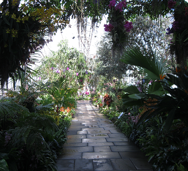 Scenes from “The Orchid Show: Orchidelirium,” at the New York Botanical Garden through April 17.