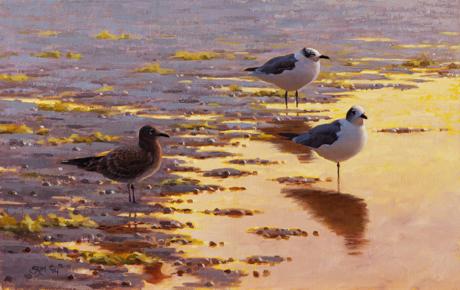 Sean Murtha’s "Periwinkle Flats (Laughing Gull)” (2014), oil on canvas.
