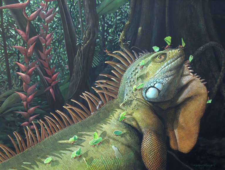 Carel Brest van Kempen’s “Green Iguana & Leaf-cutter Ants” (2011), acrylic on illustration board.