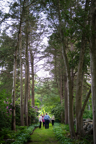 The Bartlett Arboretum & Gardens in Stamford is open from dawn until dusk 365 days year. Courtesy Bartlett Arboretum & Gardens.