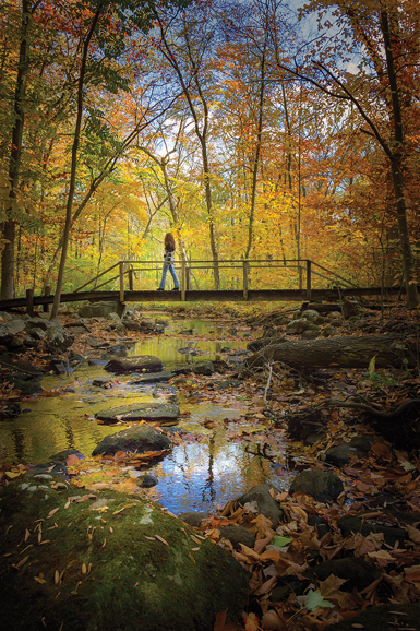 The Bartlett Arboretum and Gardens in Stamford offers a number of walking trails for visitors to tour the grounds and reconnect with nature. Photo by Ed Van Veen.