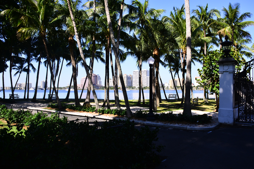 A view of downtown West Palm Beach through the coconut grove on the Flagler estate. Photograph by Bob Rozycki.