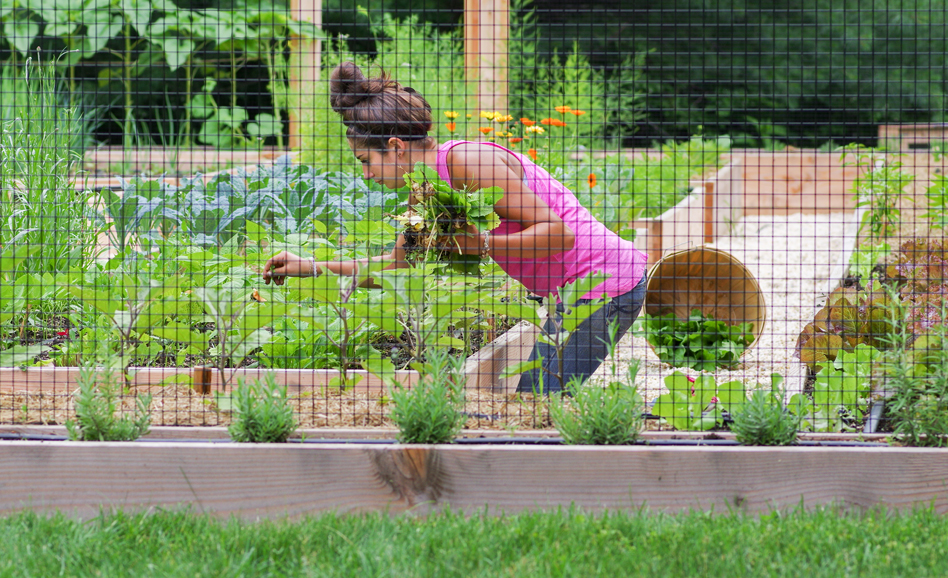 Julia Otero of Homefront Farmers. Photograph by Cam Gould.