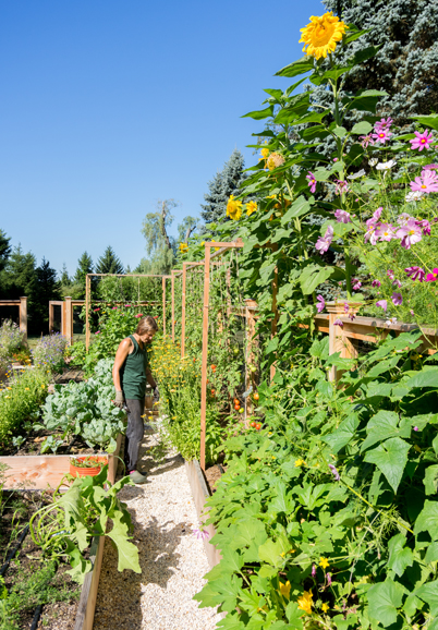 Homefront Farmers’ staff not only designs and builds gardens for their clients, but maintain them as well. Courtesy Homefront Farmers.