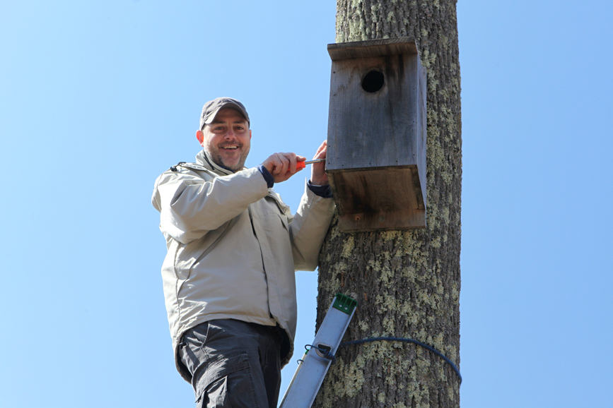 Grace Farms’ nature and wildlife ambassador, Mark Fowler, installing the recently occupied kestrel falcon nesting box. Photograph by Art Gingert.