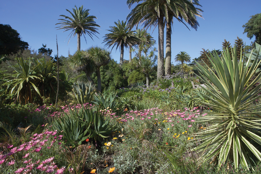 Abbey Gardens, Tresco. Courtesy Visit Isles of Scilly.