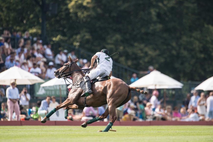 White Birch's Hilario Ulloa riding Karen in front of crowds at Greenwich Polo Club. Photograph by Joelle Wiggins
