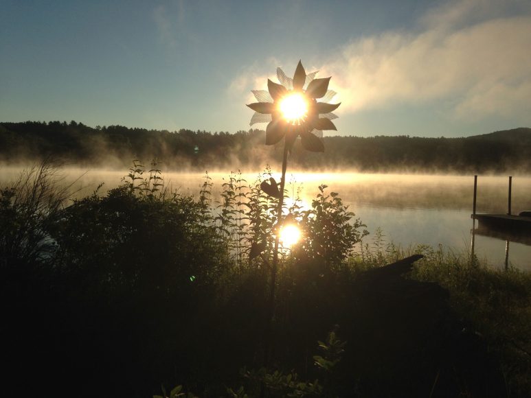 Sunflower Sculpture at sunset by Laura R. Lavan at Lake Buel in The Berkshires.  Photograph by Richard Campbell