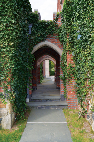 A walkway lined with ivy. Photograph by Bob Rozycki.