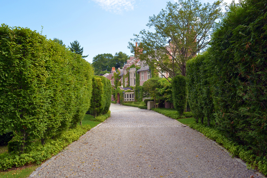 The drive leading to the Greenwich estate. Photograph by Bob Rozycki.