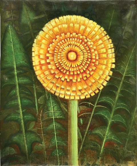 Sophie Grandval-Justice (French, b. 1936) Dandelion (Taraxacum officinale), 1990. Oil on canvas. Courtesy Oak Spring Garden Library.
